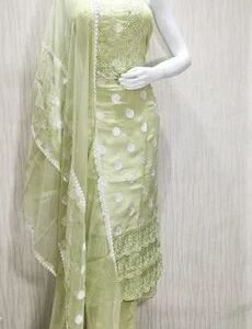 Pastel Green Faux Chikankari Salwar Suit with Net Dupatta
